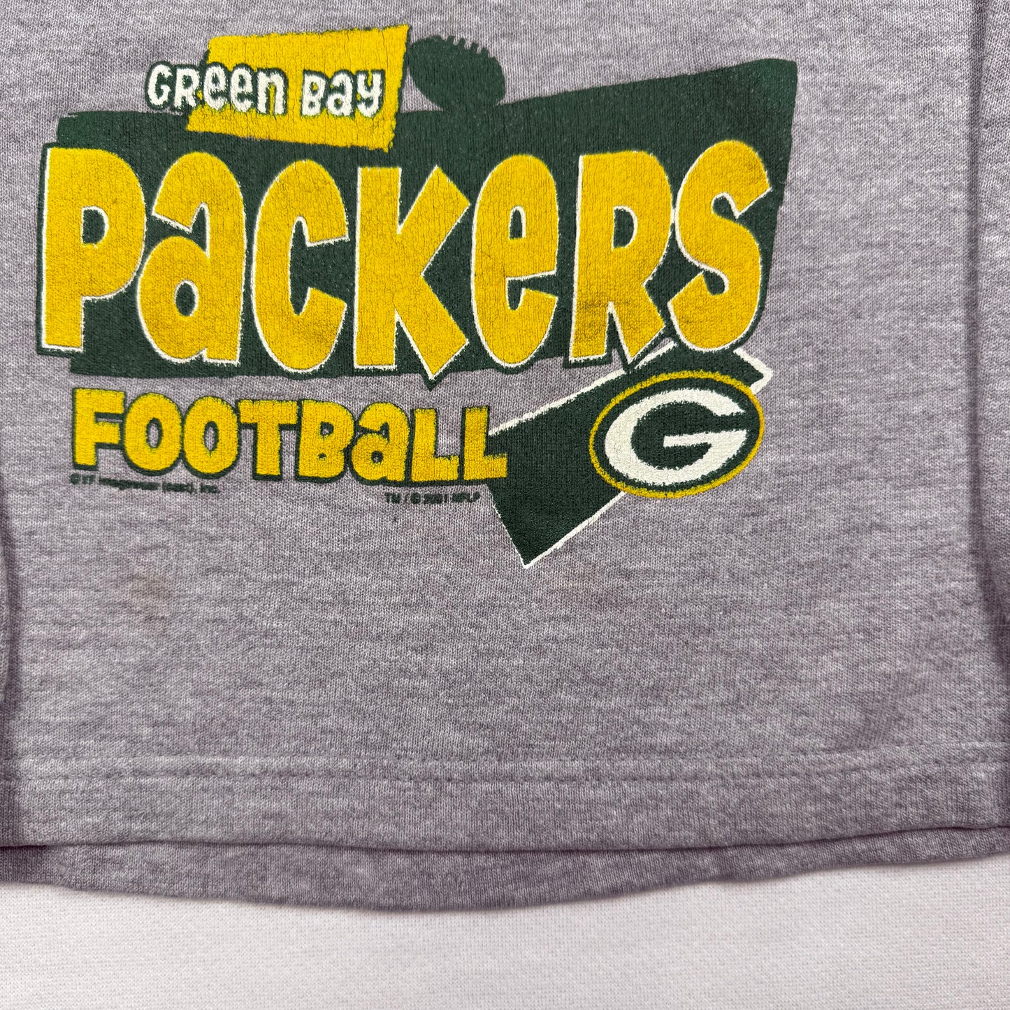 Vintage 2000's Green Bay Packers Sweatshirt - 2T