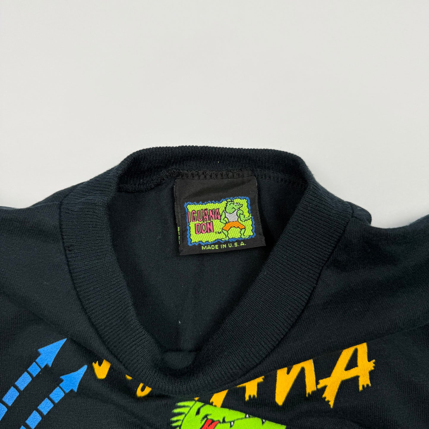 Vintage Iguana Don T-Shirt - 2/3T