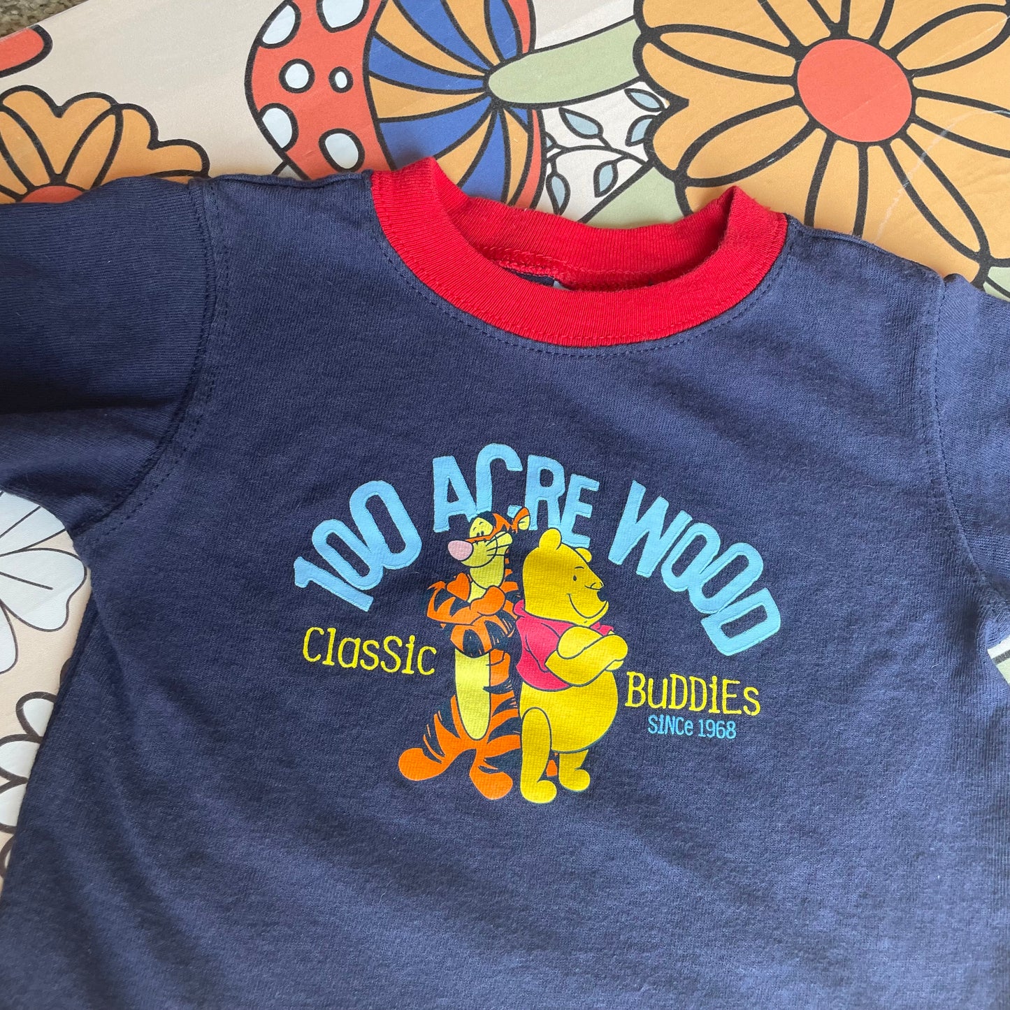 Y2K Winnie the Pooh 100 Acre Wood T-Shirt - 24 Months