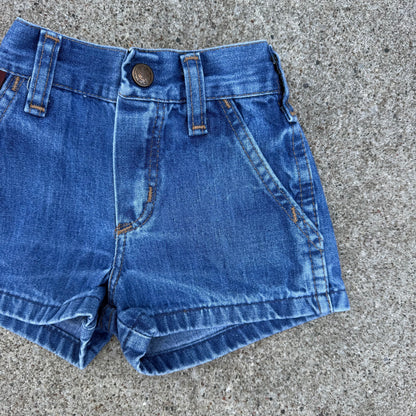 Vintage Rustler Denim Shorts - 2T