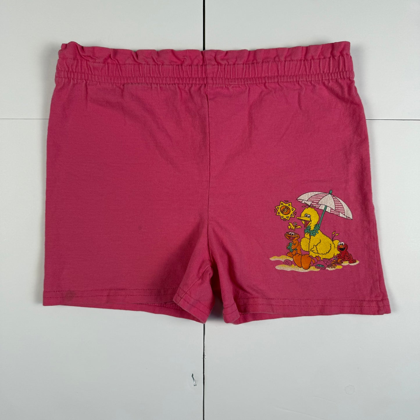 Vintage 1990's Sesame Street Beach Two Piece Set - 2T