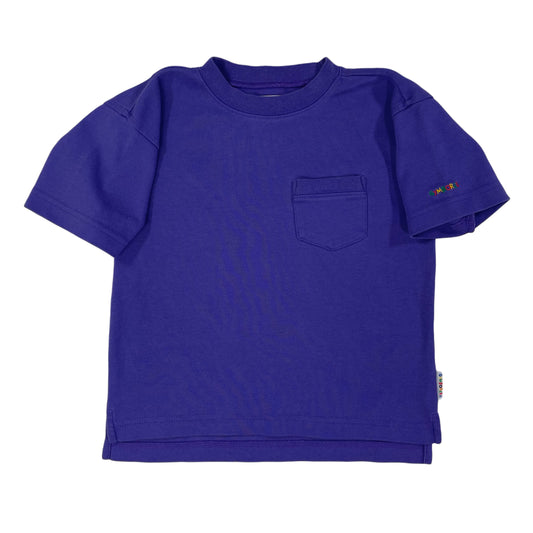 Vintage Gymboree Purple Shirt - 3T