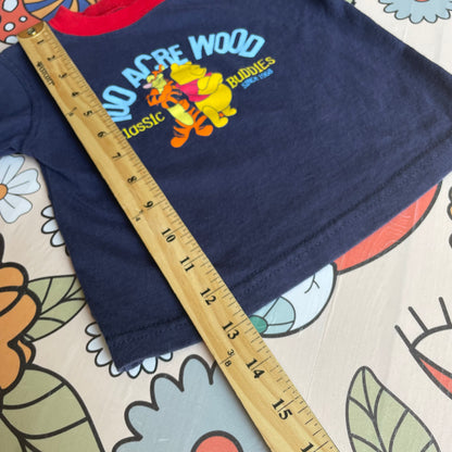 Y2K Winnie the Pooh 100 Acre Wood T-Shirt - 24 Months